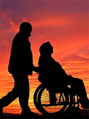 综影视女配的新生(笙婉素锦)完结版小说全文免费阅读_最新小说综影视女配的新生(笙婉素锦)